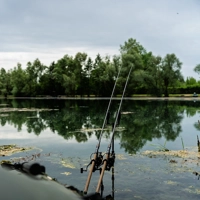Nash Scope Ops Dark Cork Retractable Carp Rods